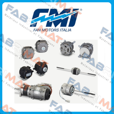 FMI Fan Motors Italia Srl