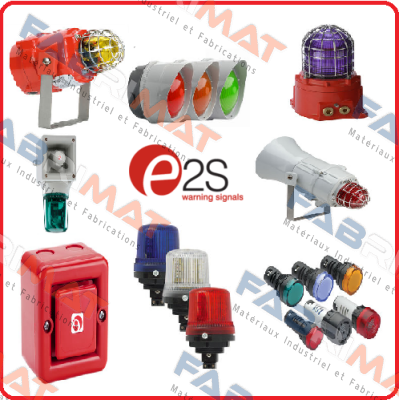 E2S