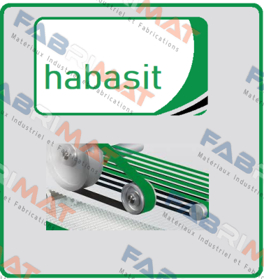 NSL-10ELBV-U2 (B= 600 mm, L= 7980 mm)  Habasit