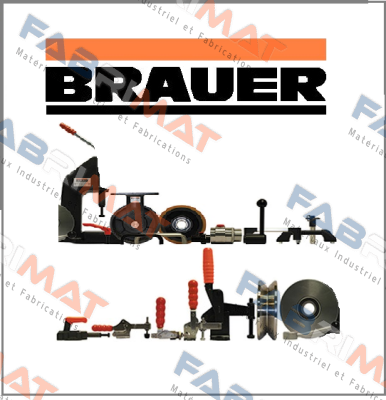 05840-1200  Brauer