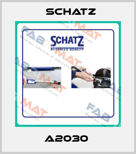 A2030  Schatz