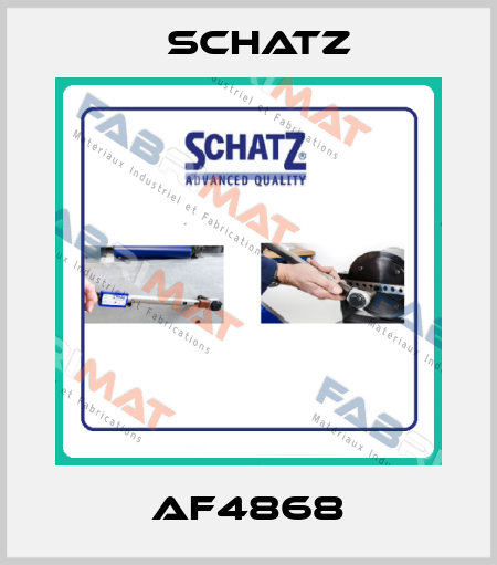 AF4868 Schatz