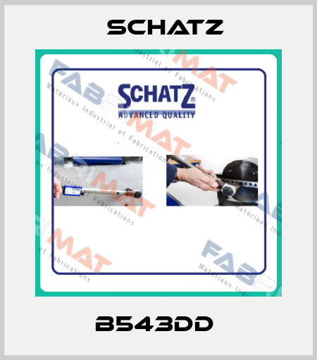 B543DD  Schatz