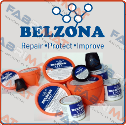 2941 Belzona