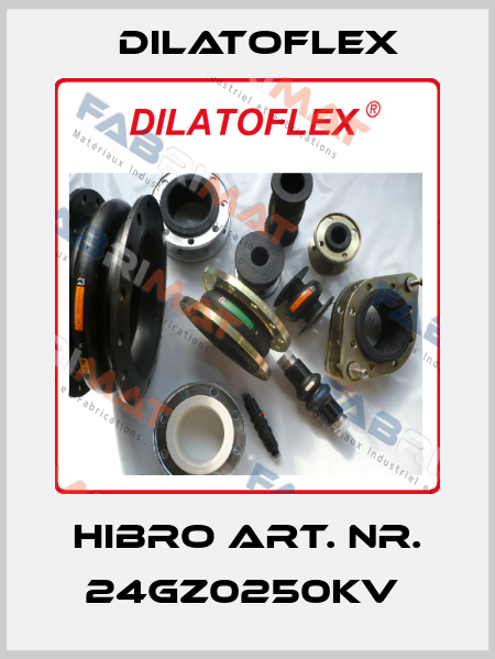 Hibro Art. Nr. 24GZ0250KV  DILATOFLEX