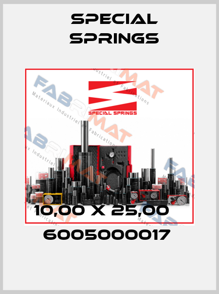 10,00 X 25,00    6005000017  Special Springs