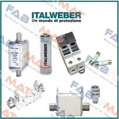 0107025  Italweber