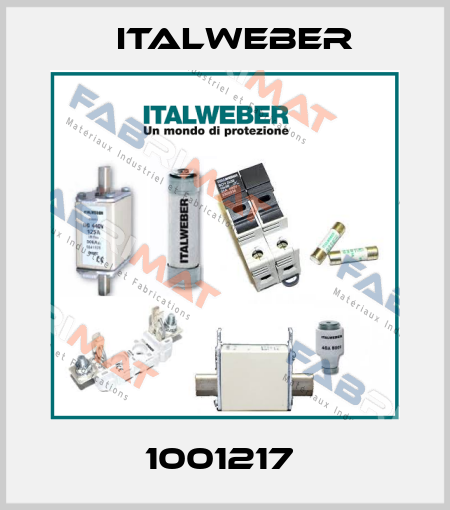 1001217  Italweber