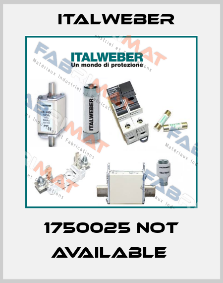 1750025 not available  Italweber