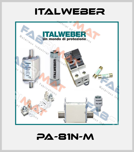 PA-81N-M  Italweber