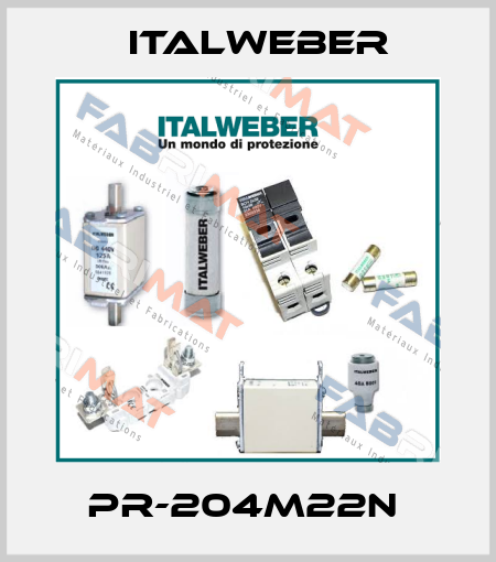 PR-204M22N  Italweber