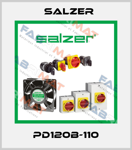 PD120B-110 Salzer