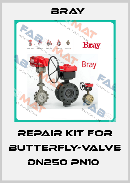 Repair kit for butterfly-valve DN250 PN10  Bray