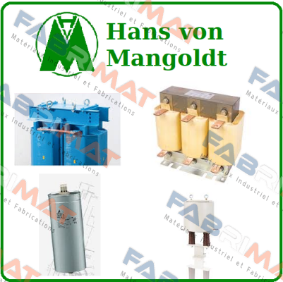 3UI132/72  Hans von Mangoldt