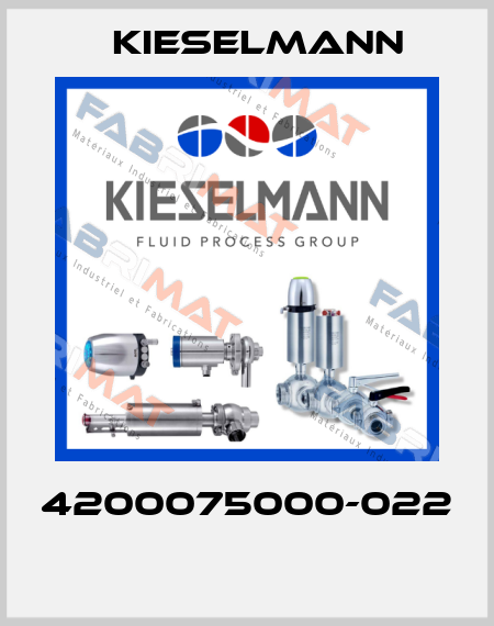 4200075000-022  Kieselmann