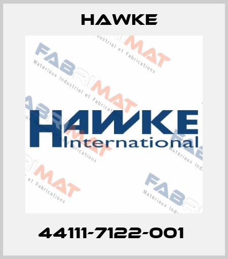 44111-7122-001  Hawke