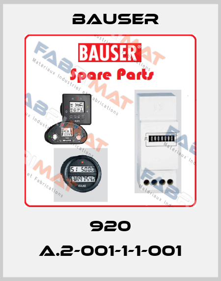 920 A.2-001-1-1-001 Bauser