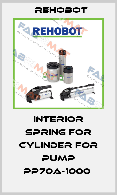 Interior spring for cylinder for pump PP70A-1000  Rehobot