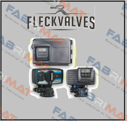 950006-002 Fleck Valves