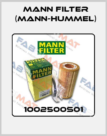 1002500S01 Mann Filter (Mann-Hummel)