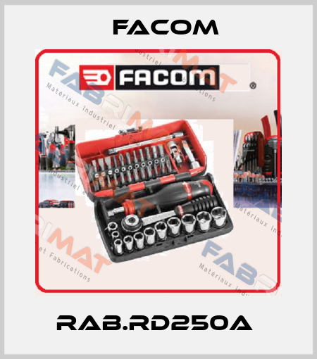RAB.RD250A  Facom
