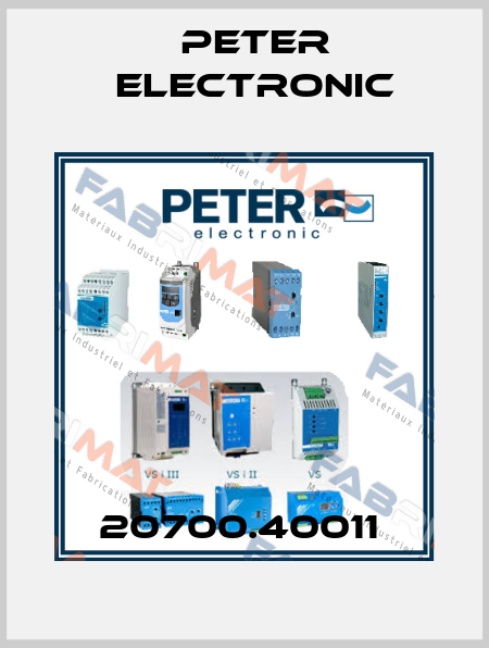 20700.40011  Peter Electronic