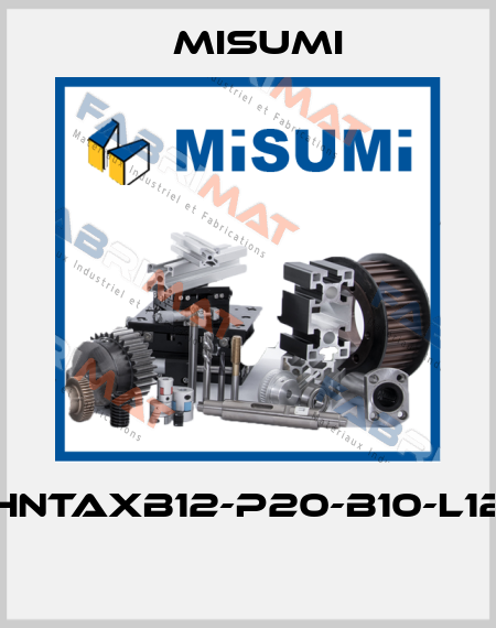 HNTAXB12-P20-B10-L12  Misumi