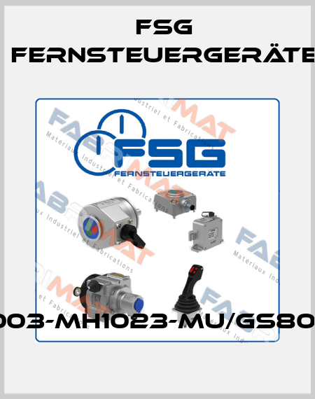SL3003-MH1023-MU/GS80/G-01 FSG Fernsteuergeräte