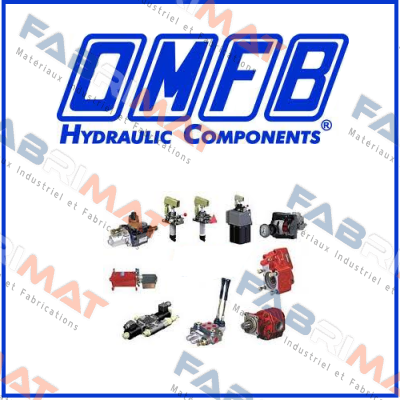 10501100353 OMFB Hydraulic