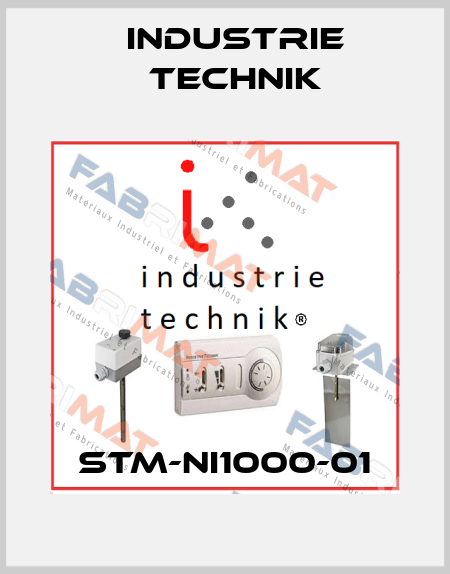 STM-NI1000-01 Industrie Technik