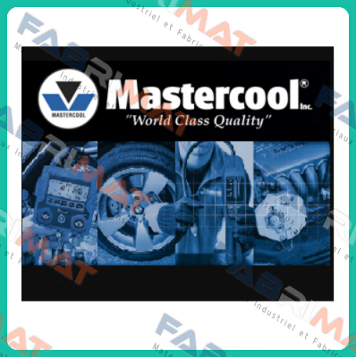 53625-6 PACK OF 6 BOTTLES  Mastercool Inc