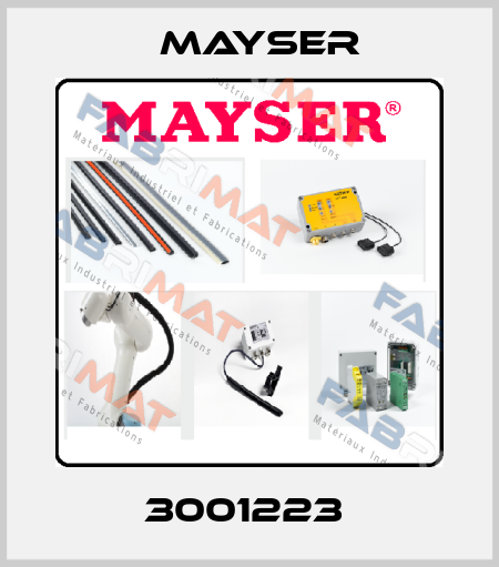 3001223  Mayser