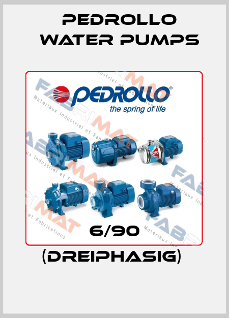 6/90 (DREIPHASIG)  Pedrollo Water Pumps