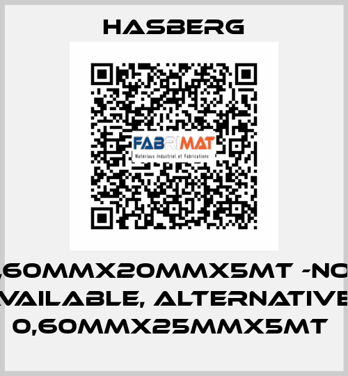 0,60MMX20MMX5MT -not available, alternative - 0,60MMX25MMX5MT  Hasberg