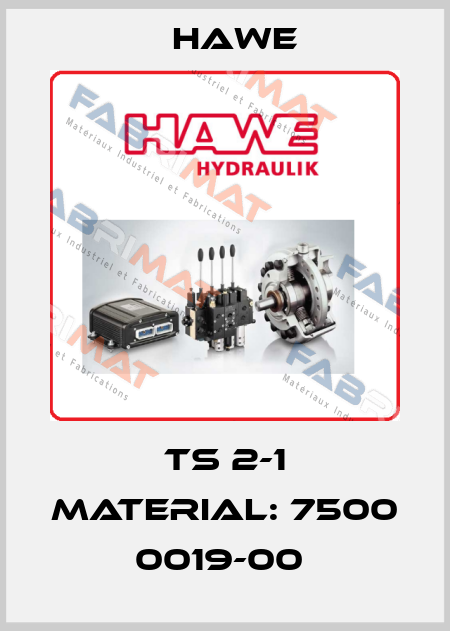 TS 2-1 Material: 7500 0019-00  Hawe