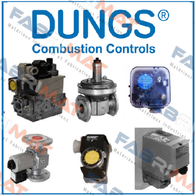 Nr.200, 230VAC, IP54,#214207 Dungs