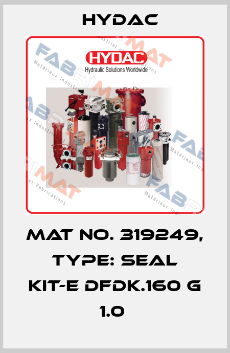 Mat No. 319249, Type: SEAL KIT-E DFDK.160 G 1.0  Hydac