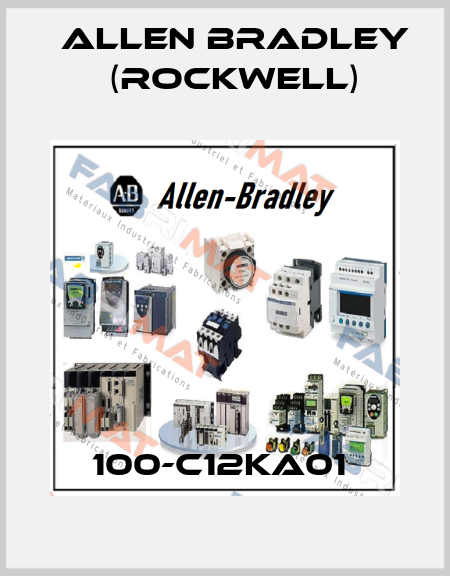 100-C12KA01  Allen Bradley (Rockwell)