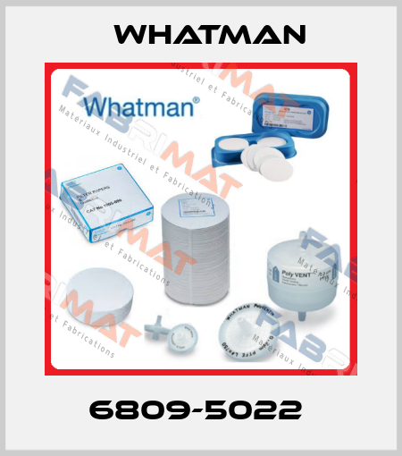 6809-5022  Whatman