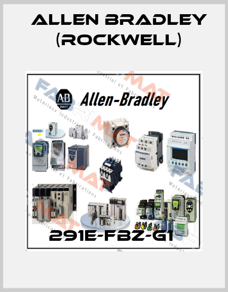 291E-FBZ-G1  Allen Bradley (Rockwell)