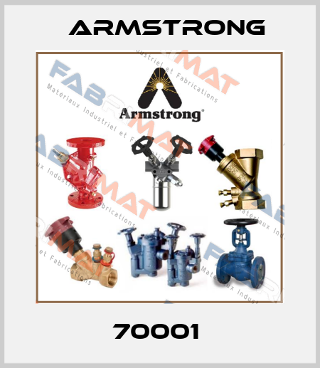 70001  Armstrong