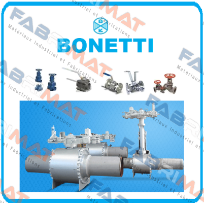 70167  Cesare Bonetti