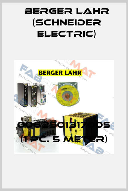 0062501317005 (1 pc. 5 meter) Berger Lahr (Schneider Electric)