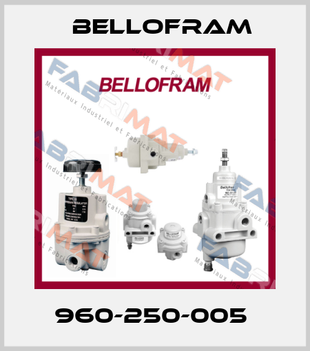 960-250-005  Bellofram