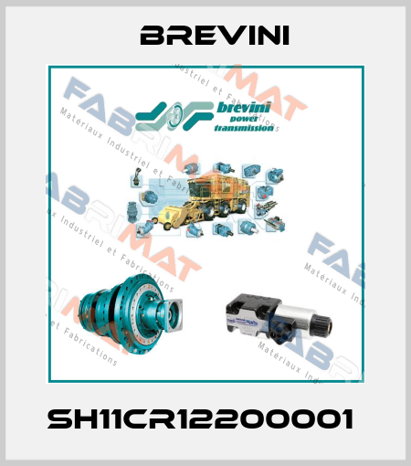 SH11CR12200001  Brevini