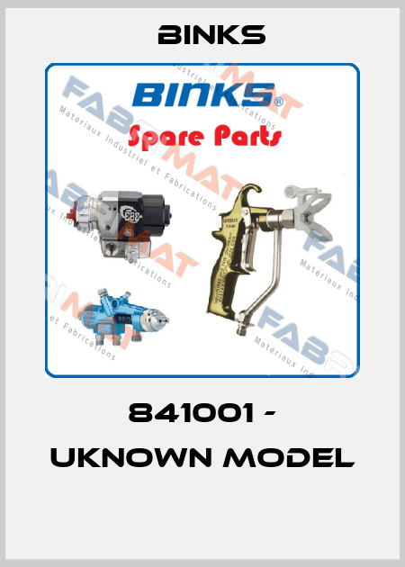 841001 - UKNOWN MODEL  Binks