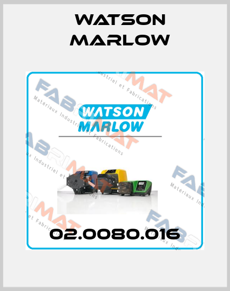 02.0080.016 Watson Marlow