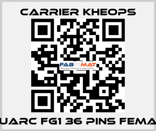 Fluarc FG1 36 Pins Female Carrier Kheops