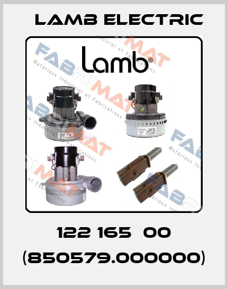 122 165­00 (850579.000000) Lamb Electric