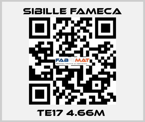 TE17 4.66M  Sibille Fameca